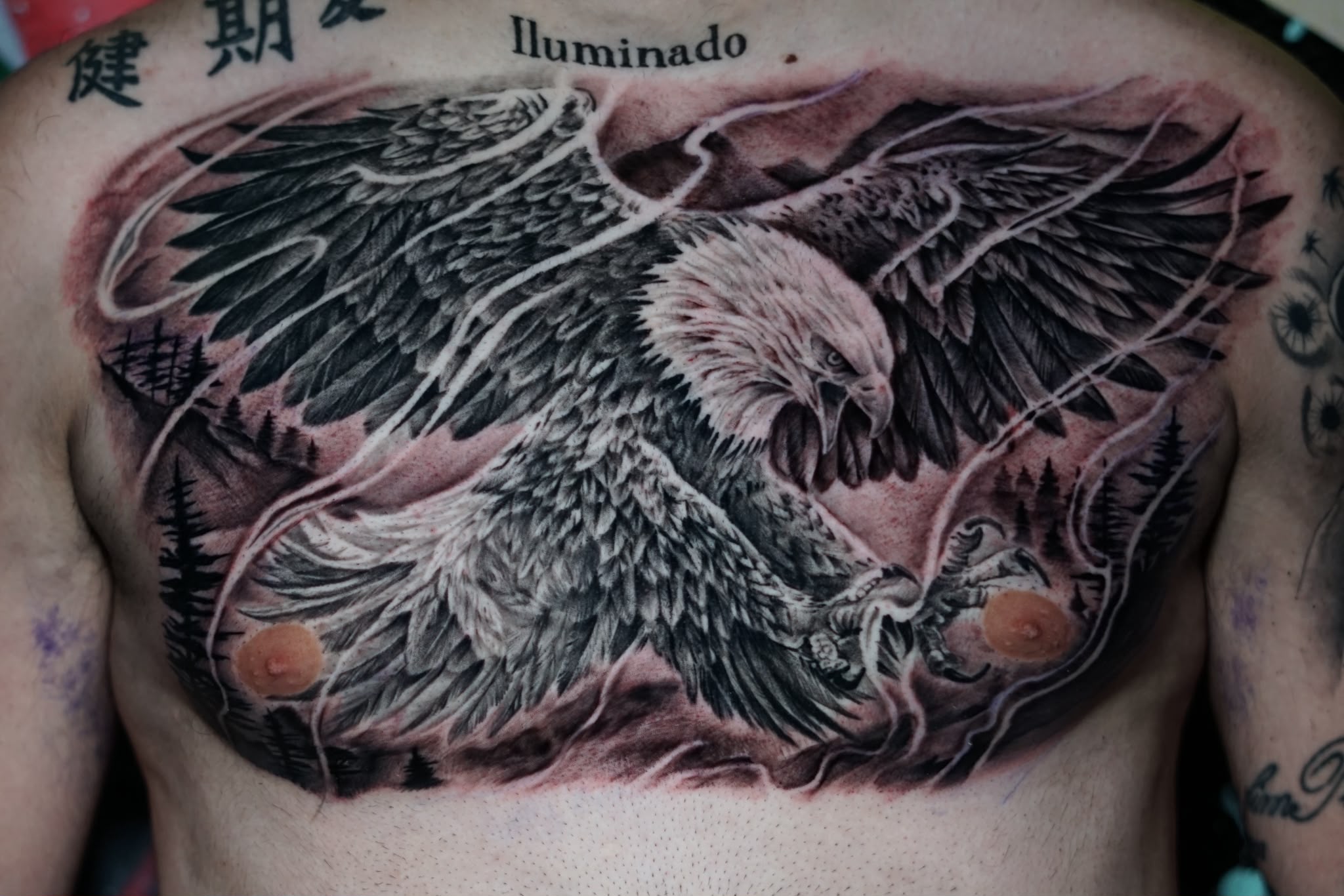 Projeto grande de F&aacute;bio Manjua